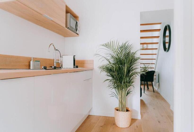 آپارتمان دوبلکس 1 خوابه, Apparts  Rennes Bnb Duhamel  Centre Gare