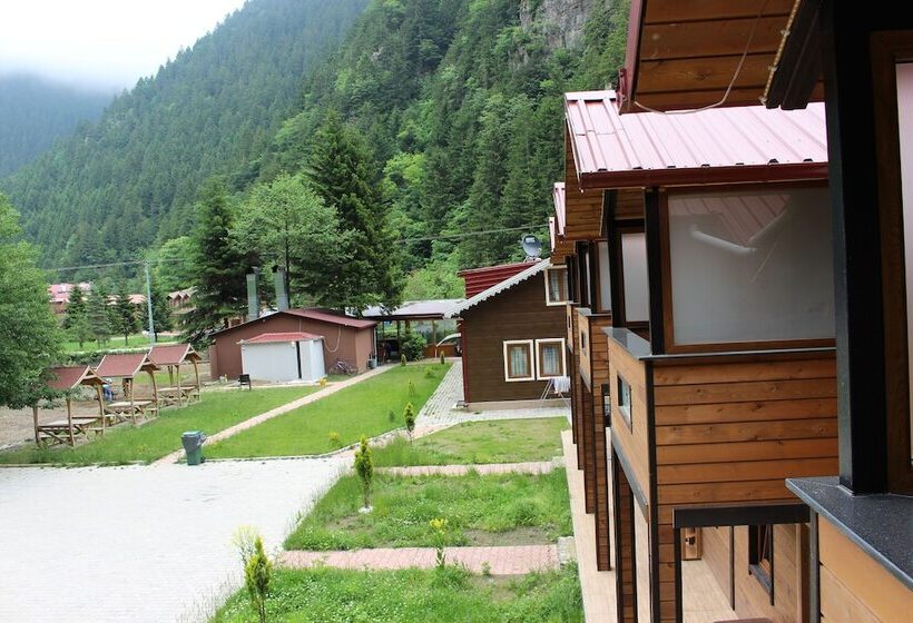 خانه 1 خوابه, Selale Otel Ve Bungalow