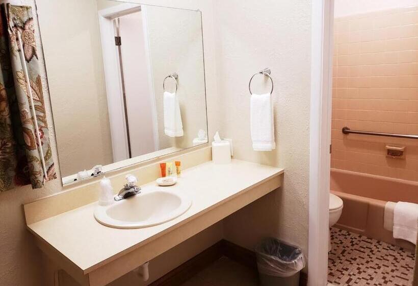 اتاق استاندارد با تخت بزرگ, Avondale By The Sea