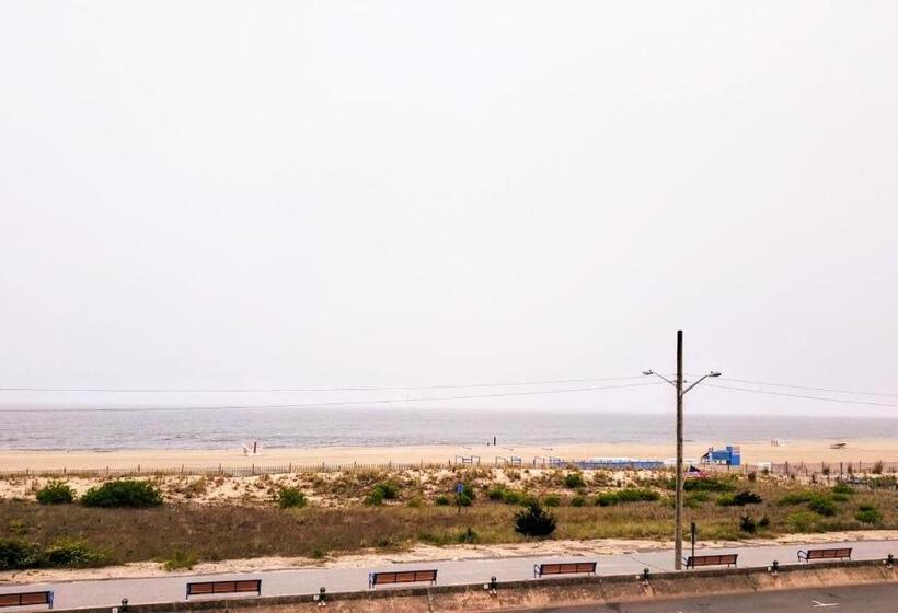 سوئیت با تخت بزرگ, Avondale By The Sea
