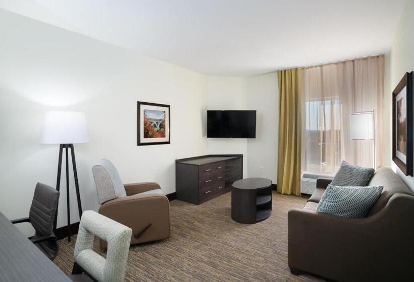 带大床的套房, Candlewood Suites   Nashville   Franklin, An Ihg
