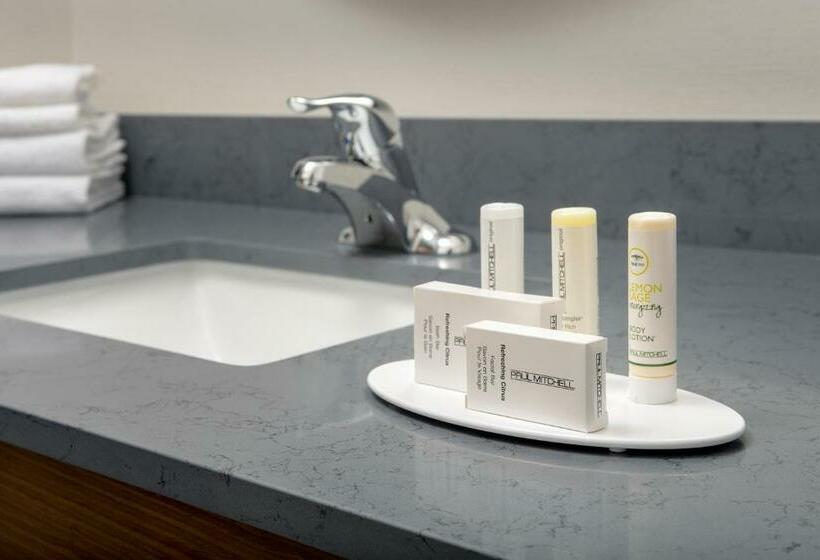 Люкс Кровать Кинг, Fairfield Inn & Suites By Marriott New Orleans Metairie