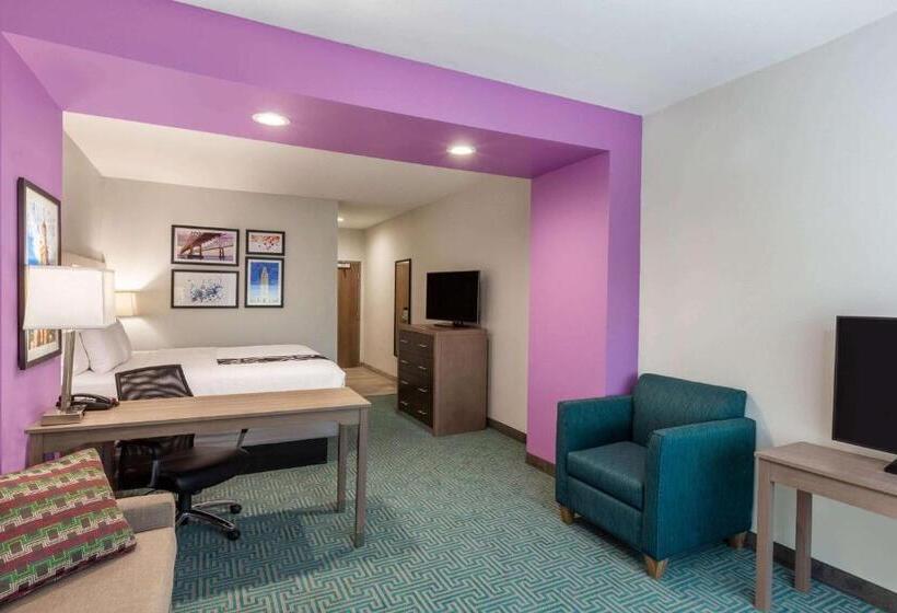 اتاق لوکس با تخت بزرگ, La Quinta Inn & Suites By Wyndham Lafayette Oil Center