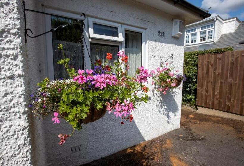 اتاق سوپریور, Eypeleaze B & B