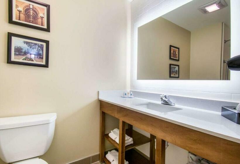 Люкс, Comfort Inn & Suites Harrisburg  Hershey West