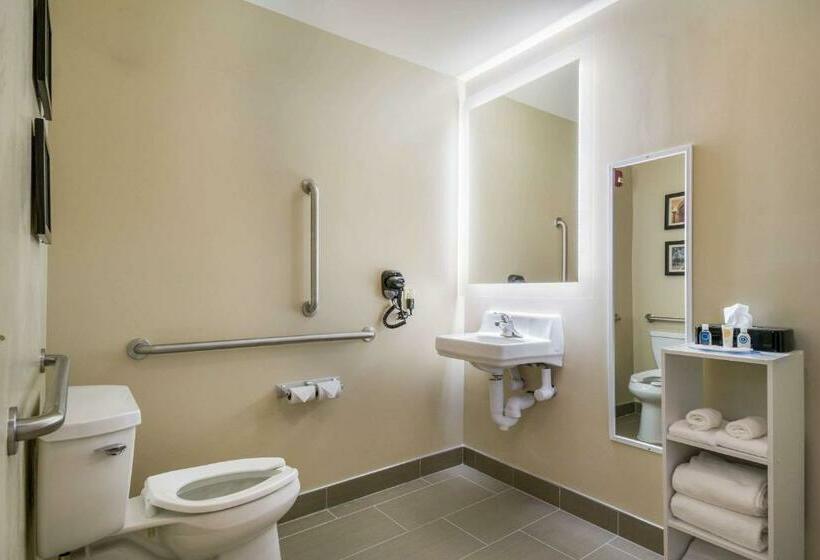 Номер Стандарт Адаптированный для Инвалидов, Comfort Inn & Suites Harrisburg  Hershey West