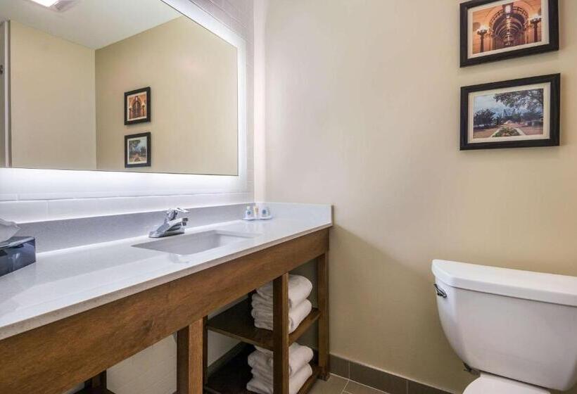 Люкс, Comfort Inn & Suites Harrisburg  Hershey West