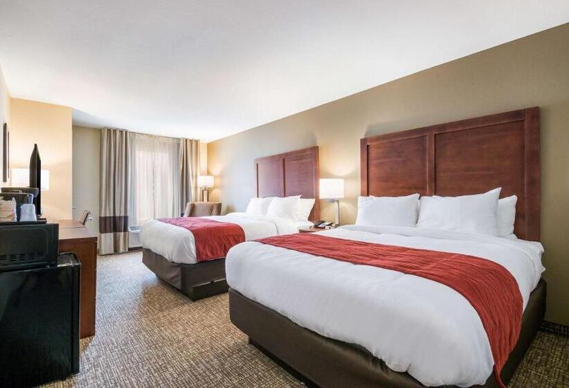 Номер Стандарт Адаптированный для Инвалидов, Comfort Inn & Suites Harrisburg  Hershey West