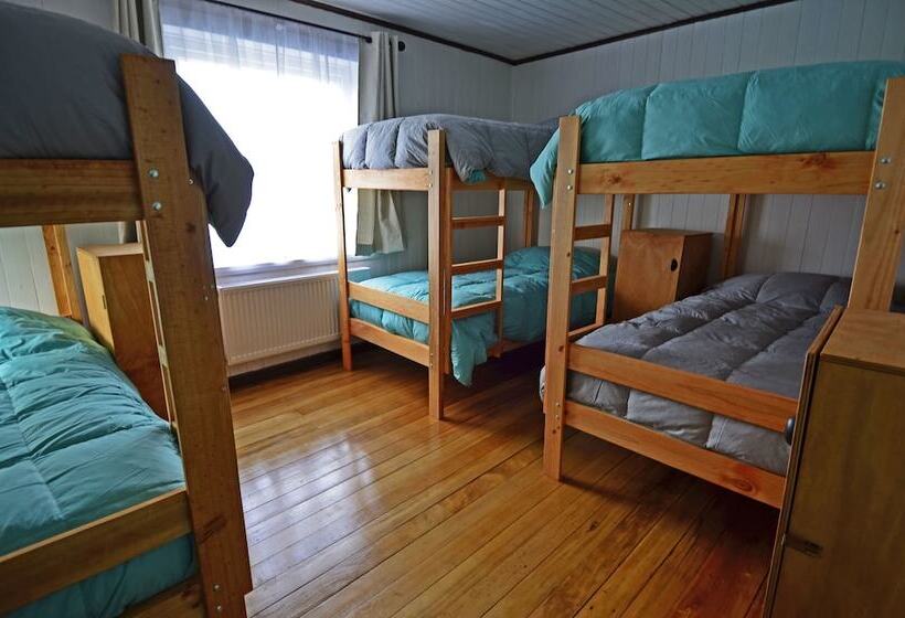 غرفة قياسية, Casa Apel Hostel