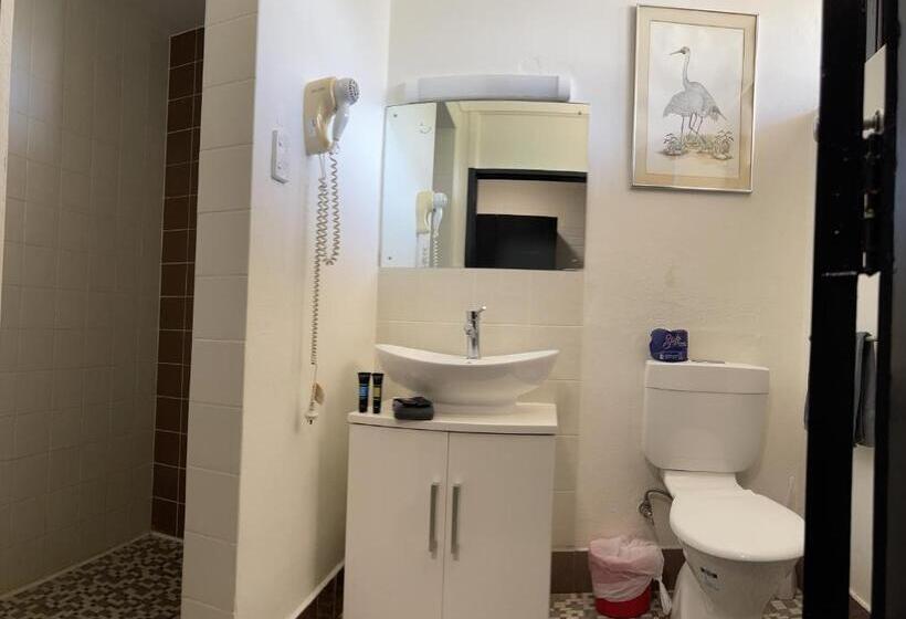 스탠다드 룸 킹사이즈 침대, Jumbuck Motor Inn   Pool   Pet Friendly Section   King Beds