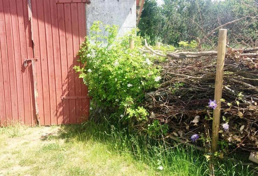 Номер Стандарт, Camønogaarden Et B&b, Kursus Center Og Refugie På østmøn