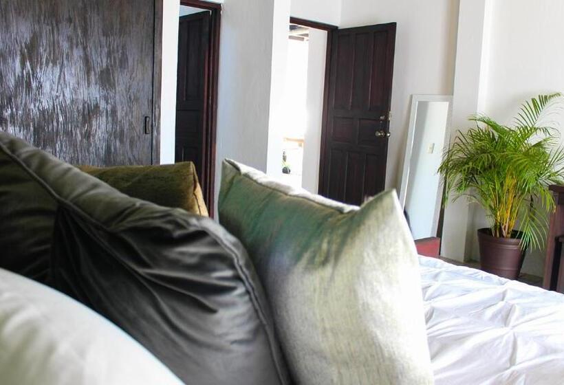اتاق استاندارد, Casa Lobe