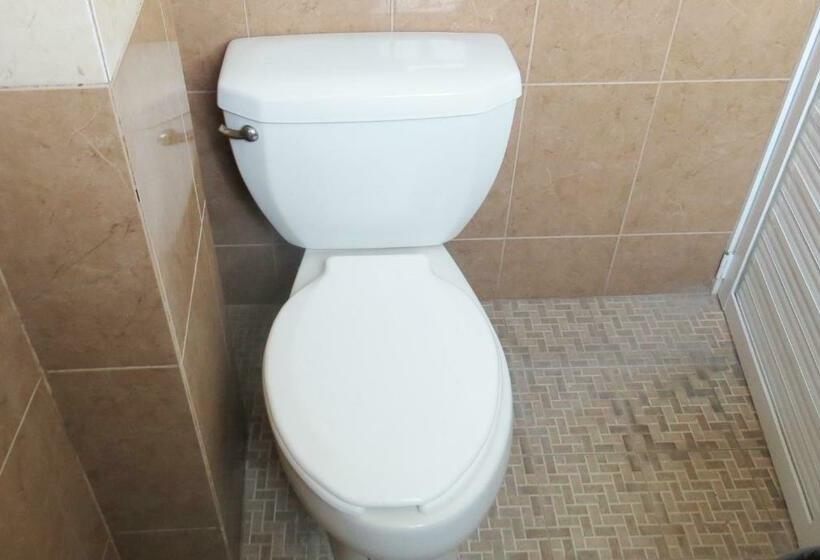 غرفة قياسية رباعية, Royal Puebla