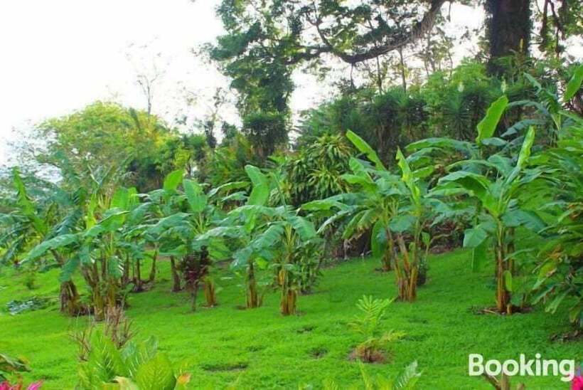 اتاق استاندارد با تخت دوبل, Ceiba Tree Lodge