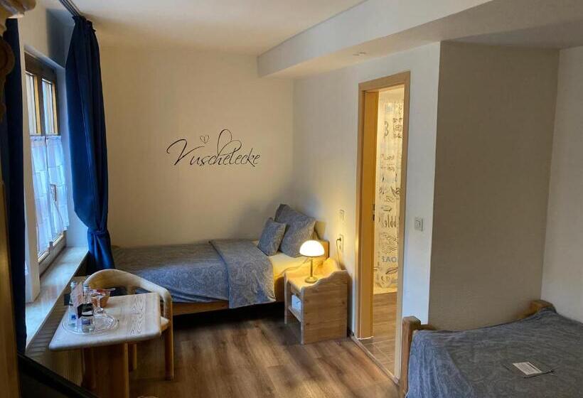 Номер Стандарт, Marktplatzhotel   Restaurant Tafelspitz