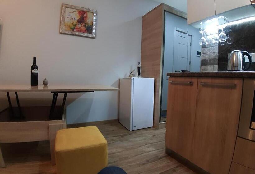 اتاق استاندارد چهارنفره با بالکن, New Gudauri Loft1