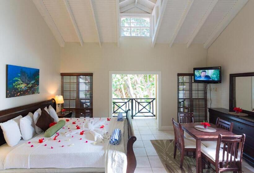 استودیو لوکس با چشم‌انداز دریا, Blue Waters Inn