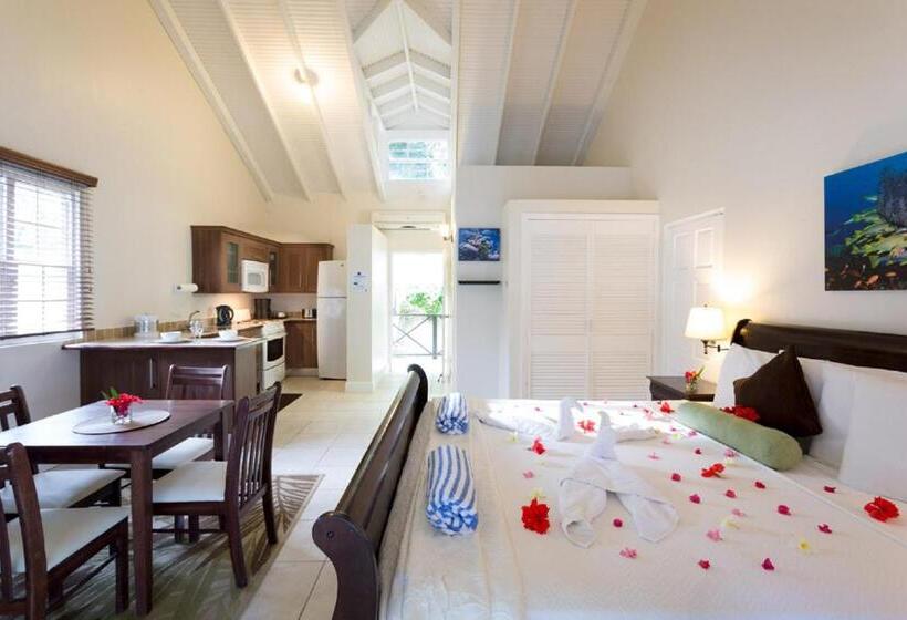 استودیو لوکس با چشم‌انداز دریا, Blue Waters Inn