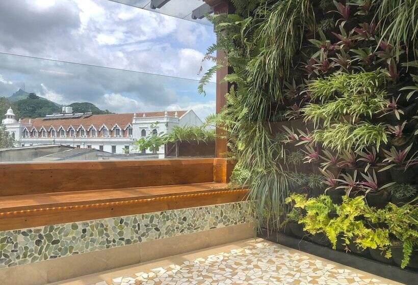 سوئیت پریمیوم, The Radh