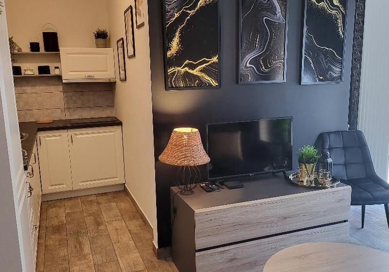 آپارتمان 1 خوابه, Moon Hostel Poznań