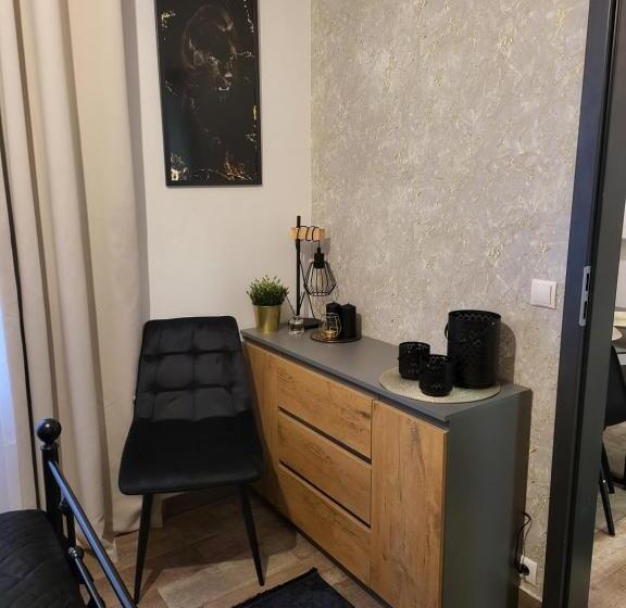 آپارتمان لوکس 1 خوابه, Moon Hostel Poznań
