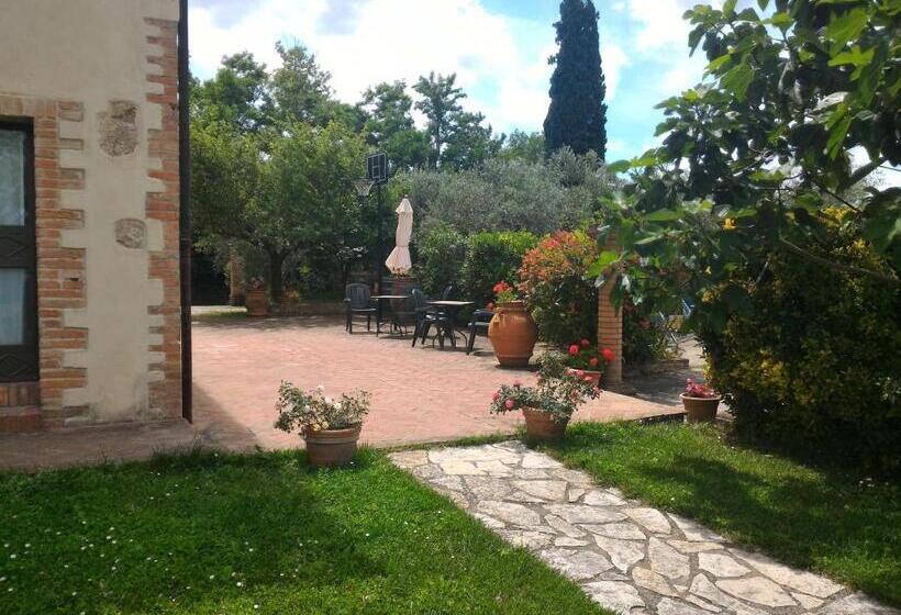 Номер Стандарт, Borgo Montauto