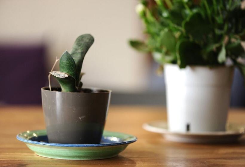 Pokój Rodzinny, Spice Quarter Inn