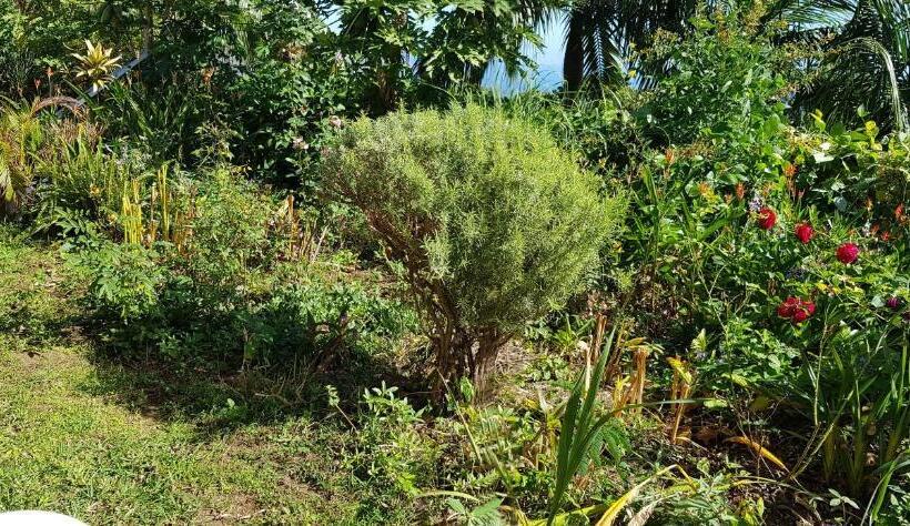 اتاق استاندارد چهار تخته, Gite Hotel La Caz Des Orangers
