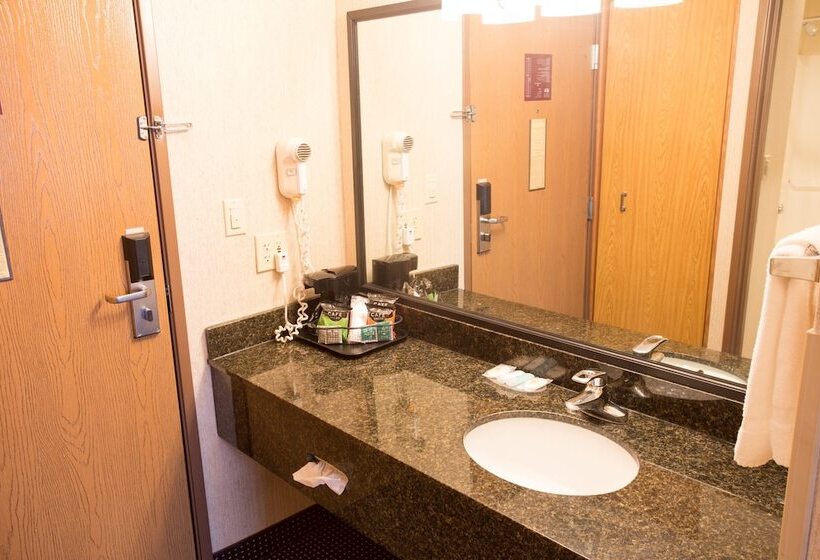带2个双人床的标准工作室, Comfort Inn Anderson South