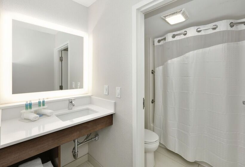 Люкс, Holiday Inn Express & Suites Irving Conv Ctr   Las Colinas, An Ihg