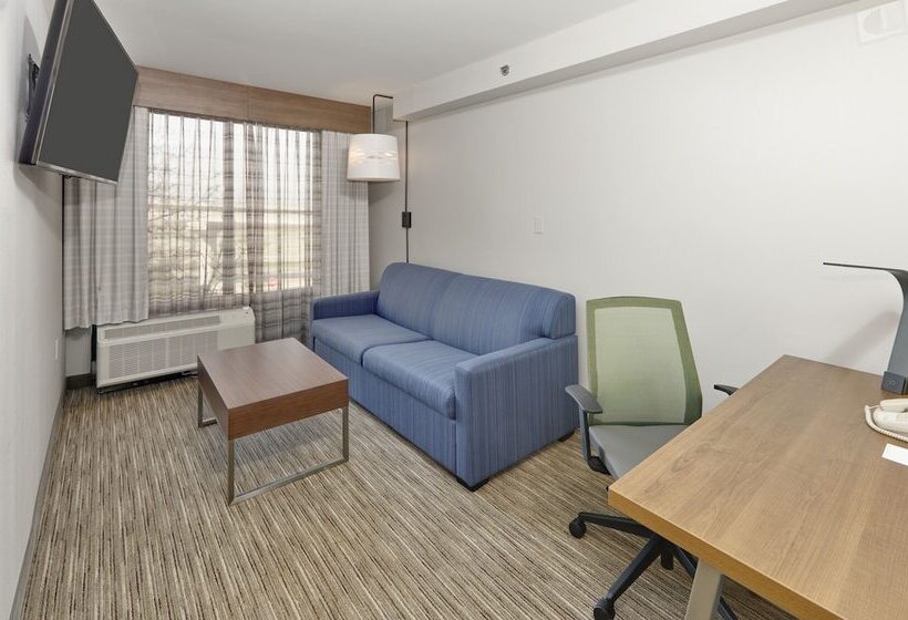 Люкс, Holiday Inn Express & Suites Irving Conv Ctr   Las Colinas, An Ihg