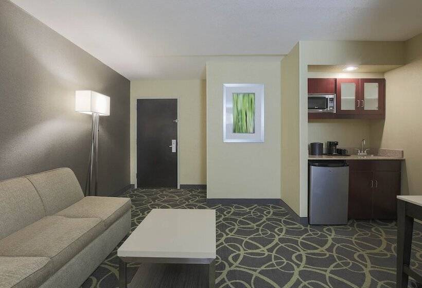 سوییت اجرایی, Springhill Suites By Marriott Oklahoma City Quail Springs