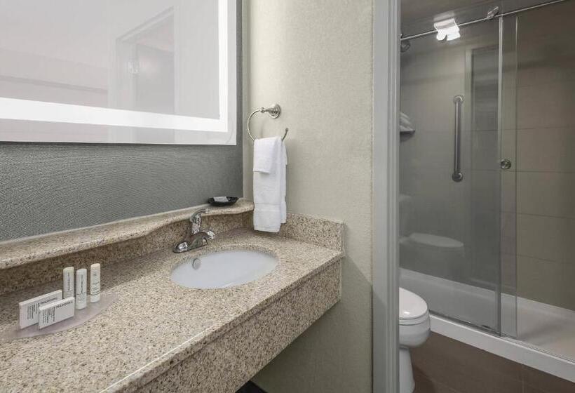 استودیو استاندارد با تخت کینگ, Springhill Suites By Marriott Oklahoma City Quail Springs
