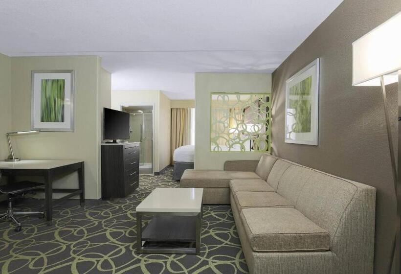 استودیو استاندارد با تخت کینگ, Springhill Suites By Marriott Oklahoma City Quail Springs