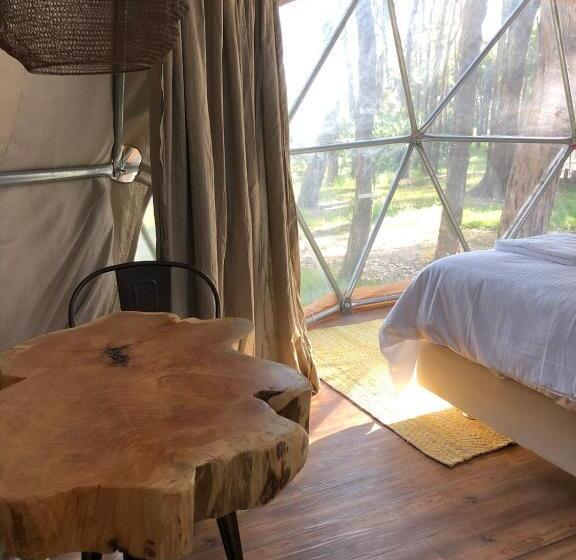 اتاق استاندارد, Big Bang Nature Stays