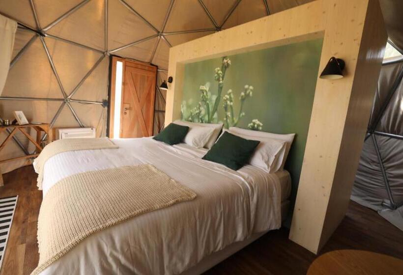 اتاق استاندارد, Big Bang Nature Stays