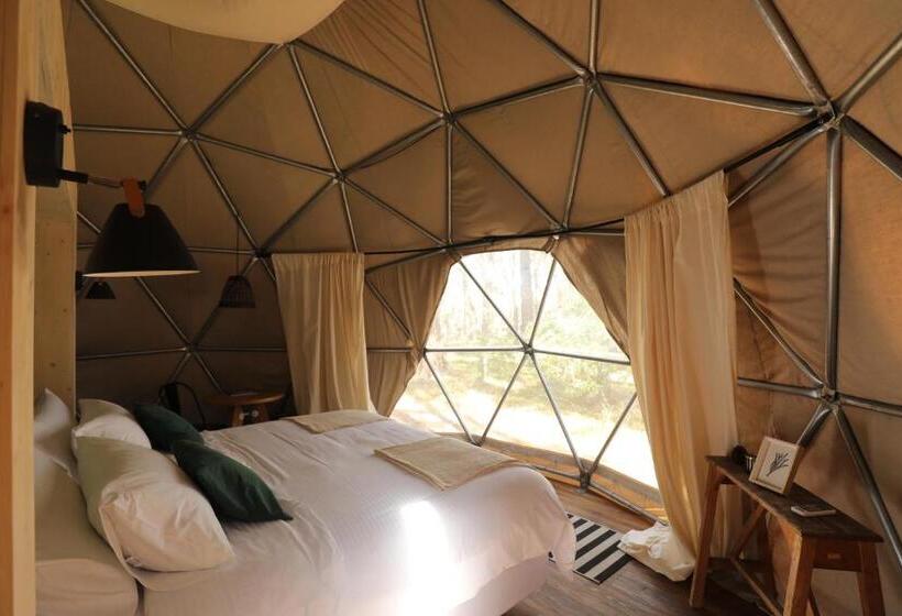 اتاق استاندارد, Big Bang Nature Stays