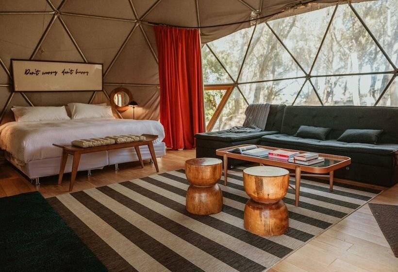 اتاق استاندارد, Big Bang Nature Stays
