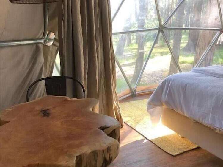 اتاق استاندارد, Big Bang Nature Stays
