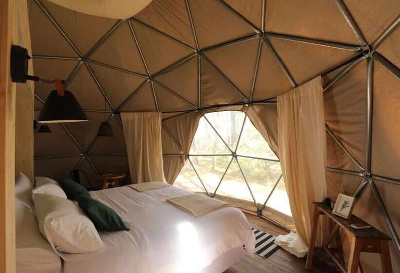 اتاق استاندارد, Big Bang Nature Stays