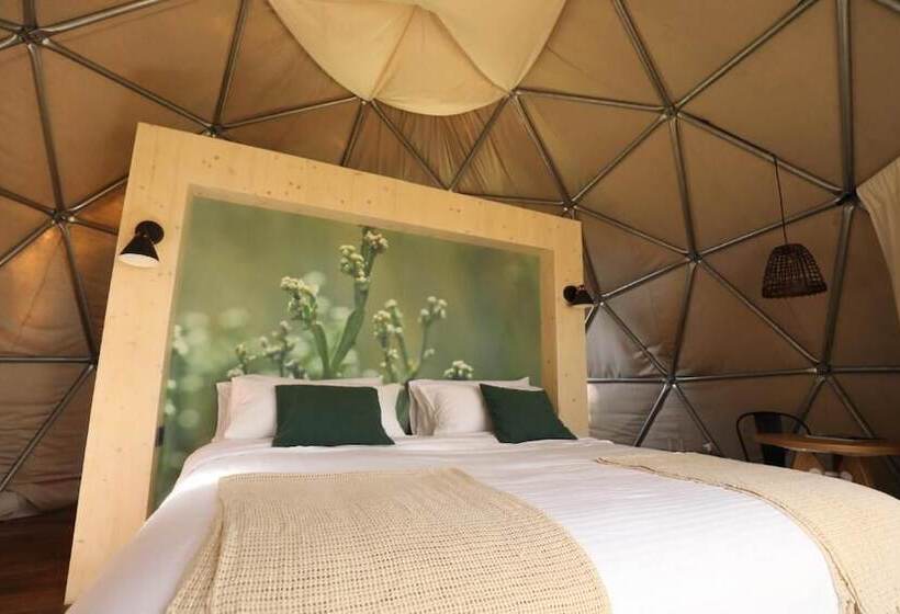 اتاق استاندارد, Big Bang Nature Stays