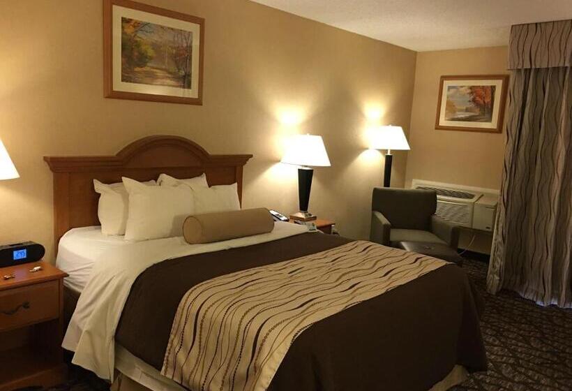 Номер Стандарт, Best Western Clifton Park