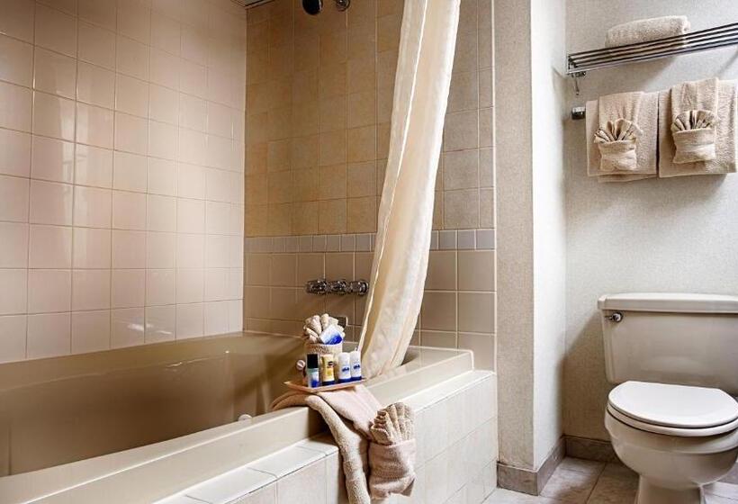 Номер Стандарт с Гидромассажем, Best Western Clifton Park