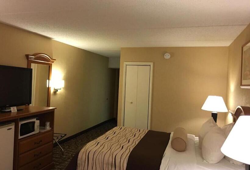 Номер Стандарт Адаптированный для Инвалидов, Best Western Clifton Park