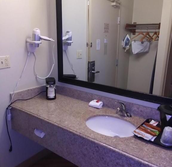 Deluxe Szoba Kind Size Bed, Travelodge By Wyndham Columbus State University