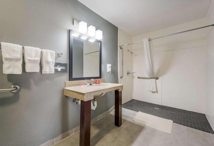 Номер Стандарт Кровать Кинг Адаптированный для Инвалидов, Surestay Hotel By Best Western Deer Park