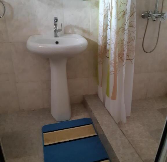 اتاق لوکس, Goddis Apartments