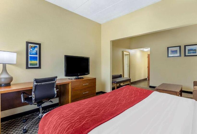 Стандартный Номер Кровать Кинг, Comfort Inn