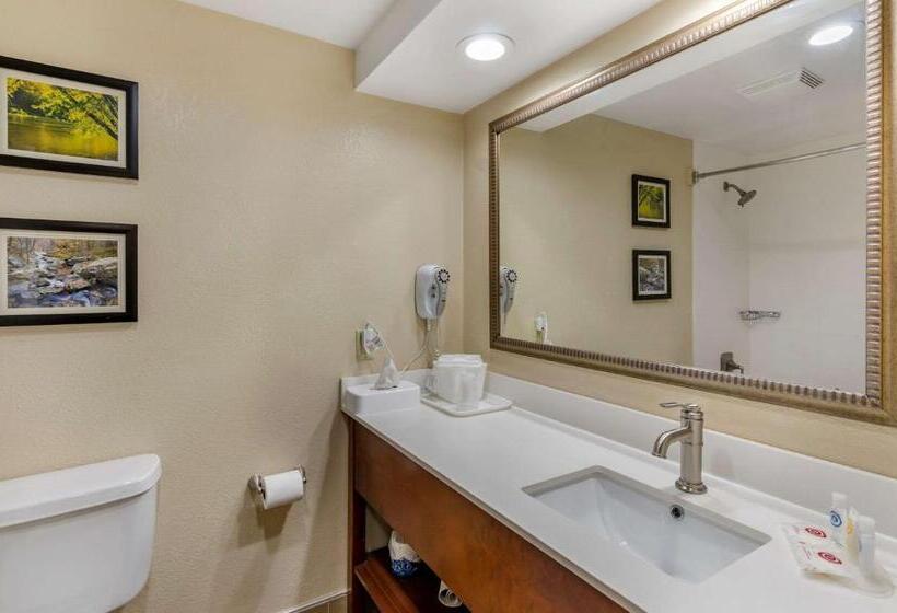 Quarto Estandar, Comfort Inn