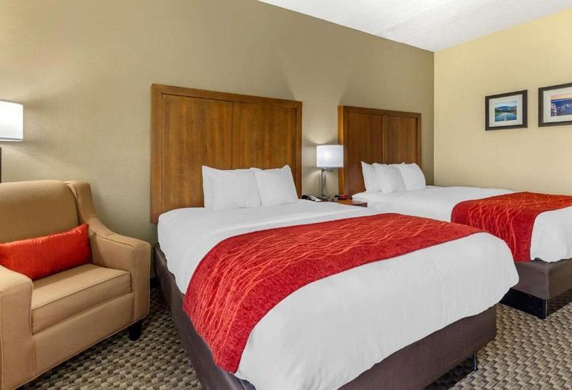 Номер Стандарт, Comfort Inn